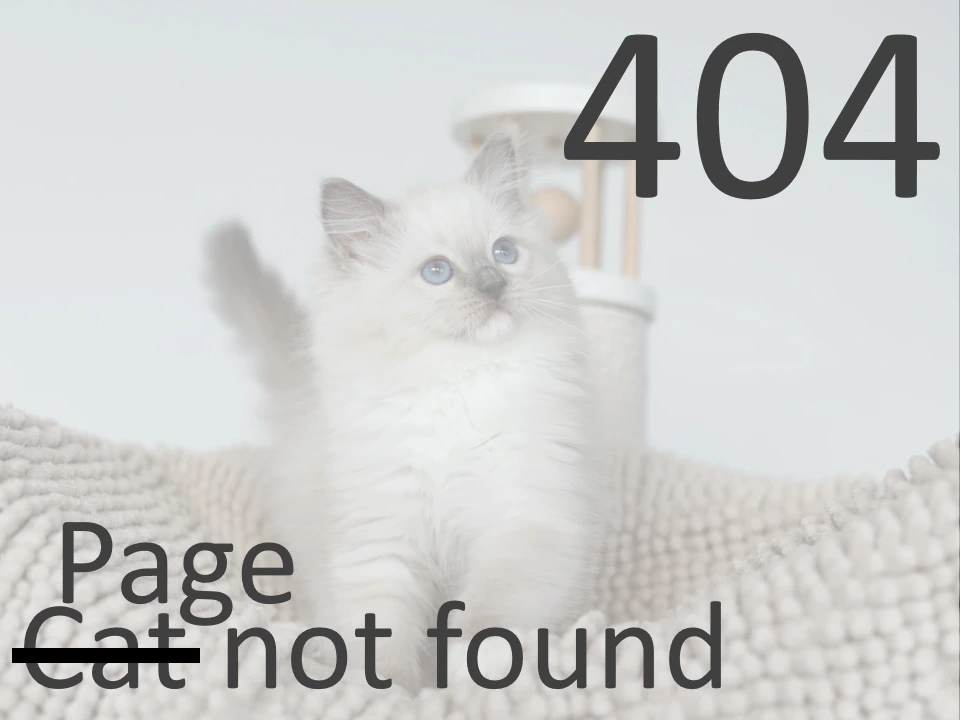 Error 404 | Page not found