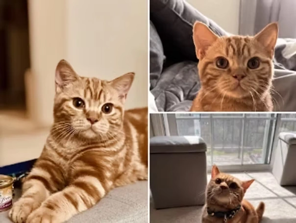 Our Clients Say - Payal Mistry