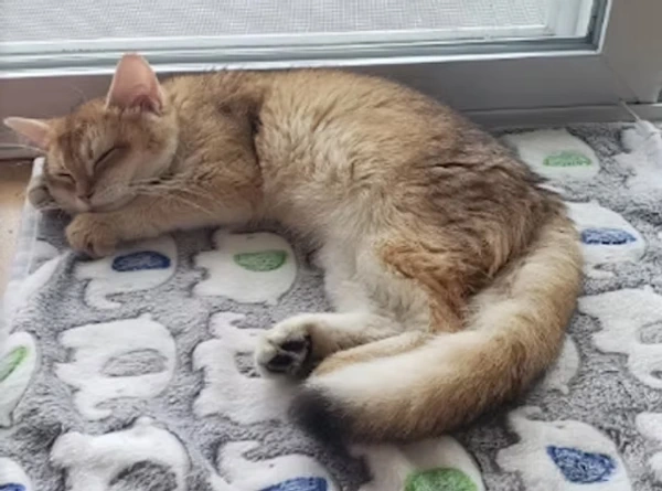 Our Clients Say - Hien NGUYEN