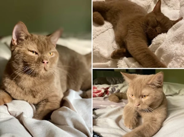 Our Clients Say - Karina Gubieva