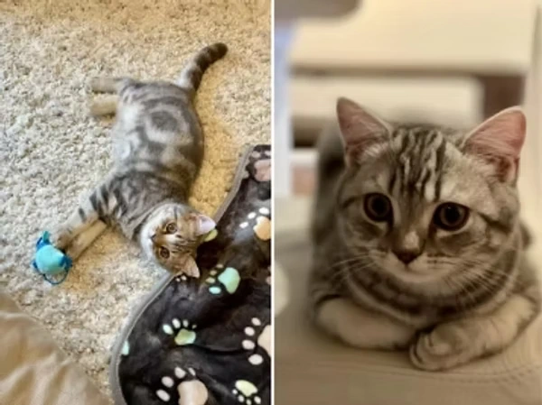 Our Clients Say - Jake P.