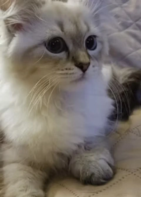 Our Clients Say - Mike