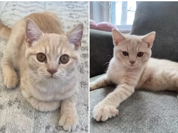 Our Clients Say - Kristina Lee